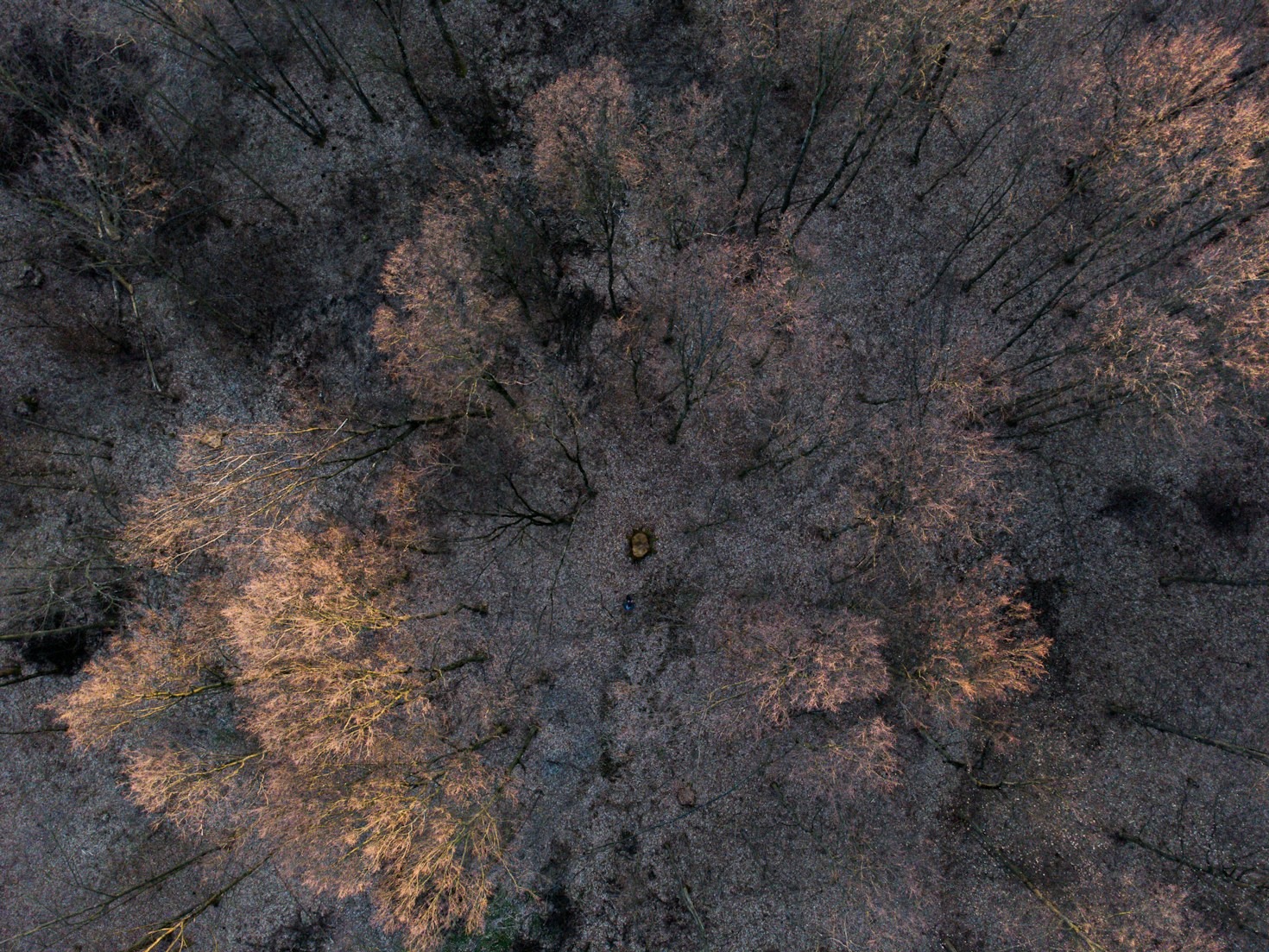 Showcasing Commercial Properties with Drone Videos